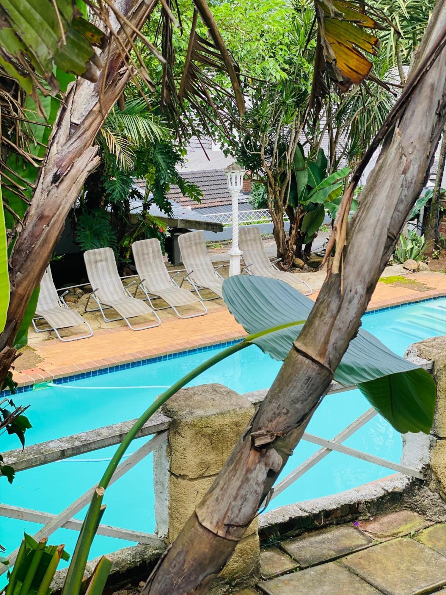 פיטרמריצברג Caribe Accommodation And Conferences מראה חיצוני תמונה
