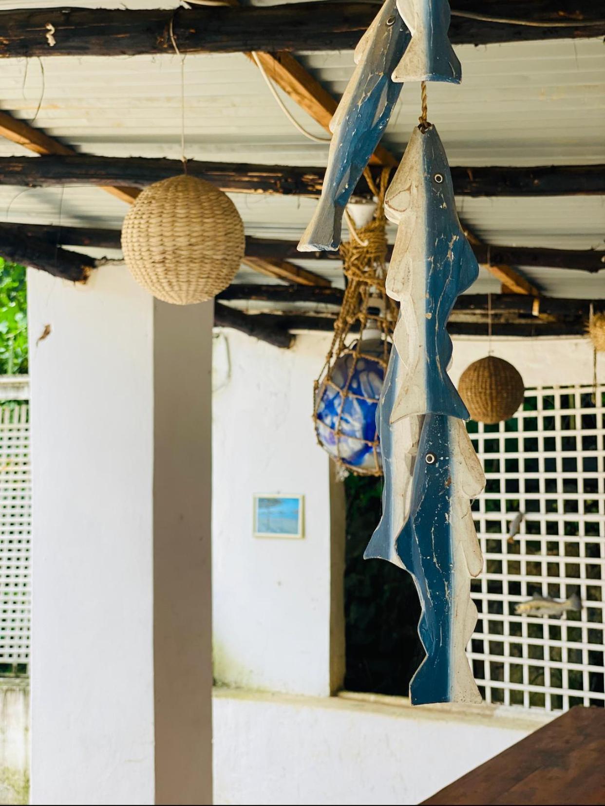 פיטרמריצברג Caribe Accommodation And Conferences מראה חיצוני תמונה