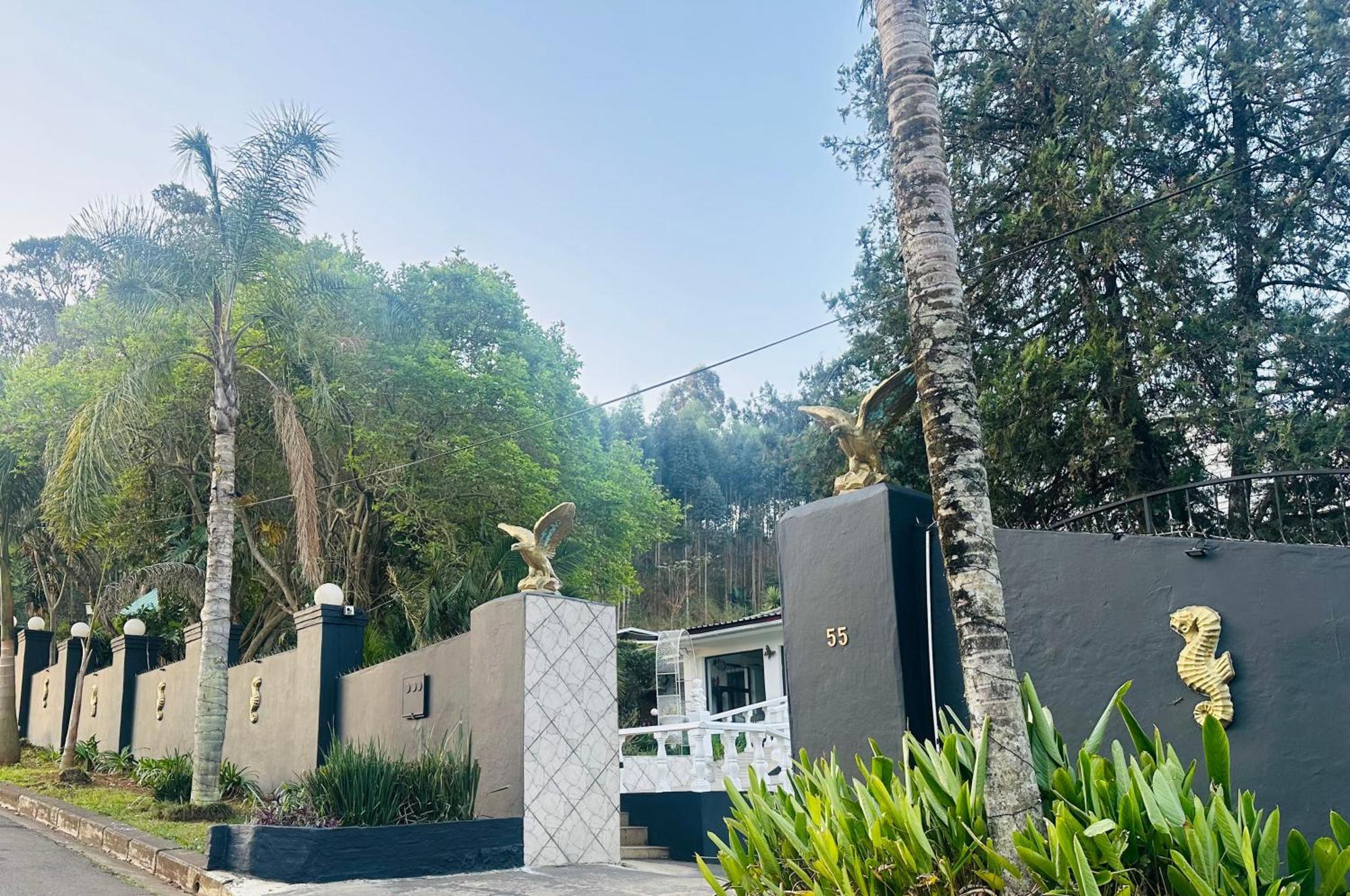 פיטרמריצברג Caribe Accommodation And Conferences מראה חיצוני תמונה